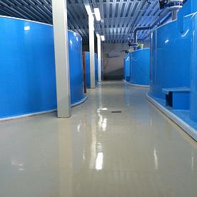 Осетровое хозяйство «ТД Город Изобилия»