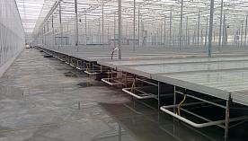 Тепличный комбинат «Новосибирский»