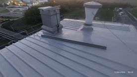 Ярославский Бройлер