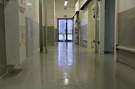 ТЦ «Лента», Цех полуфабрикатов