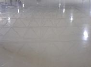 Фортуна гарант