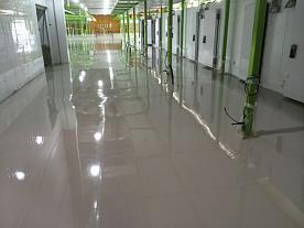 Мытищинская ярмарка «Фермер»