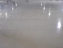 Фортуна гарант